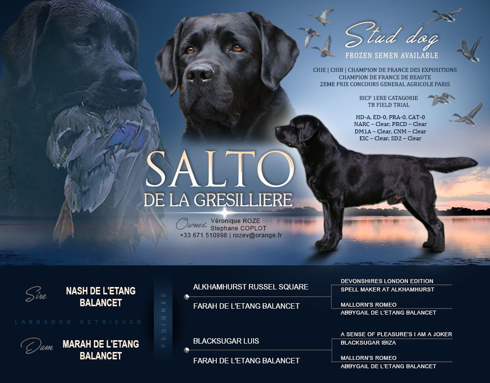 CH. Salto De La Gresilliere